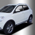    Actyon New